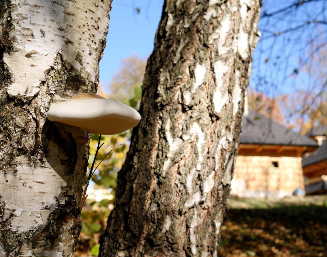 Villa Osada Sudecka Lądek-Zdrój Exterior foto